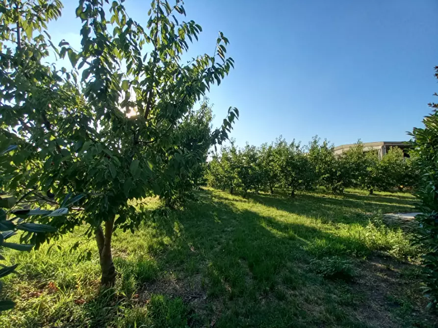 Immagine 17 di Rustico / casale in vendita  in via Maremagna a Vignola