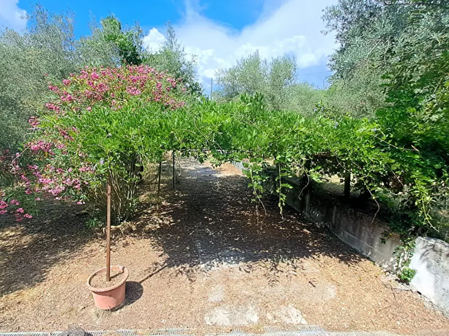 Immagine 14 di Villa in vendita  a Magione