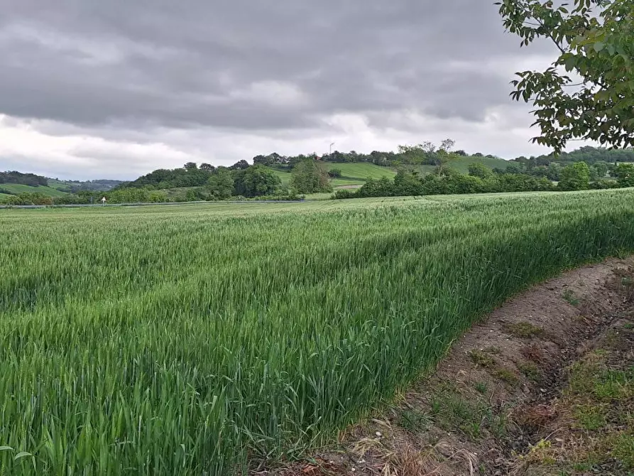 Immagine 2 di Terreno in vendita  in SP2, Conca PU, Italia a Cagli