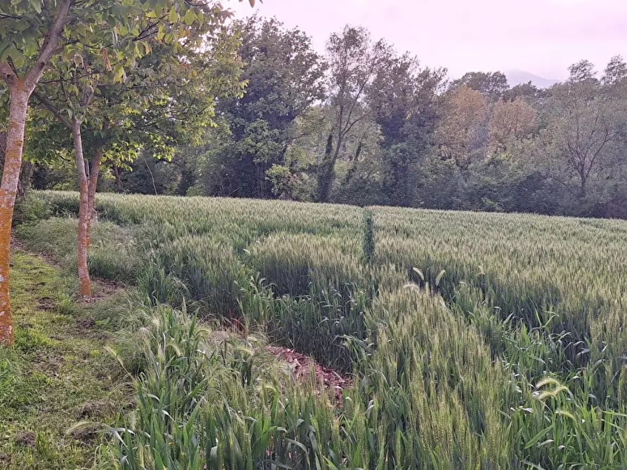 Immagine 3 di Terreno in vendita  in SP2, Conca PU, Italia a Cagli