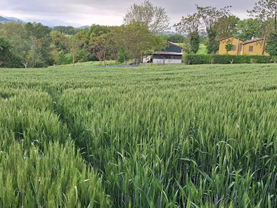 Immagine 4 di Terreno in vendita  in SP2, Conca PU, Italia a Cagli