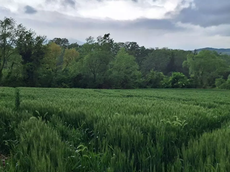Immagine 5 di Terreno in vendita  in SP2, Conca PU, Italia a Cagli