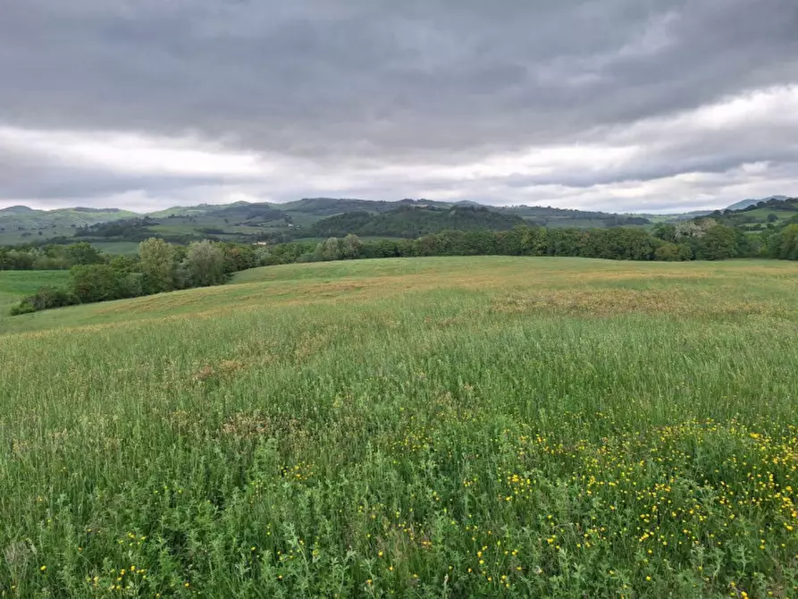 Immagine 12 di Terreno in vendita  in SP2, Conca PU, Italia a Cagli