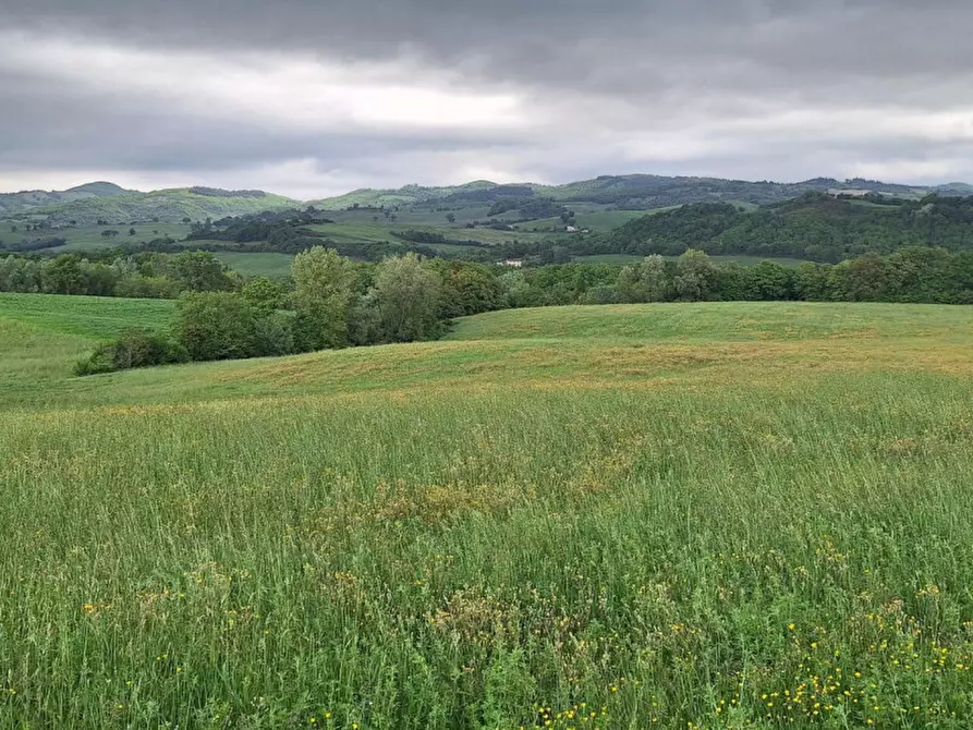 Immagine 13 di Terreno in vendita  in SP2, Conca PU, Italia a Cagli