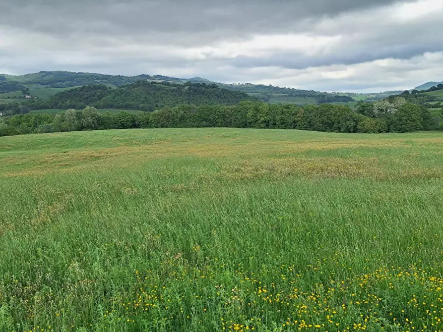 Immagine 14 di Terreno in vendita  in SP2, Conca PU, Italia a Cagli