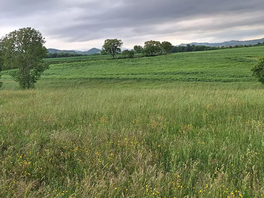 Immagine 15 di Terreno in vendita  in SP2, Conca PU, Italia a Cagli