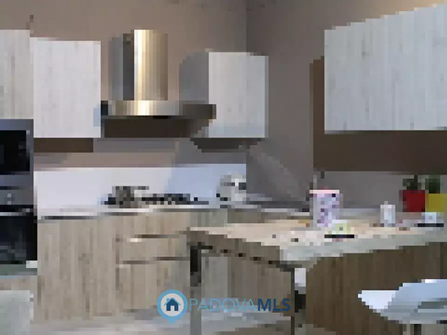 Immagine 5 di Villa in vendita  in Via Nicolo de Conti a Monselice