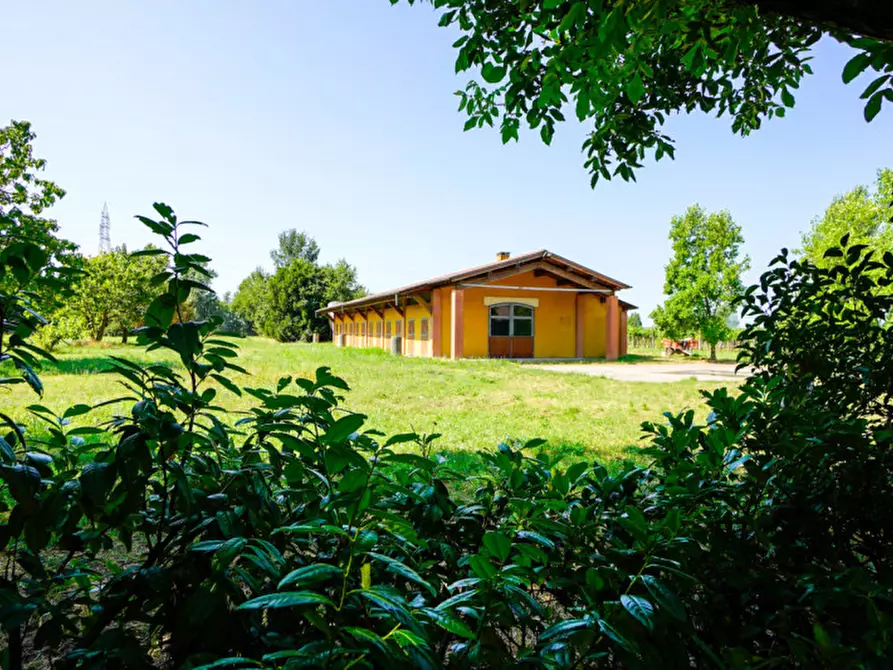 Immagine 5 di Agriturismo in vendita  a San Bonifacio