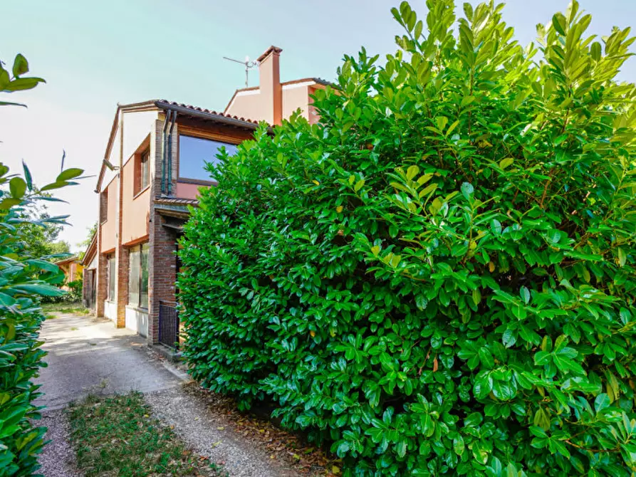 Immagine 9 di Agriturismo in vendita  a San Bonifacio