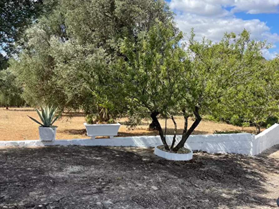 Immagine 10 di Rustico / casale in vendita  in Contrada Circiello a Ceglie Messapico
