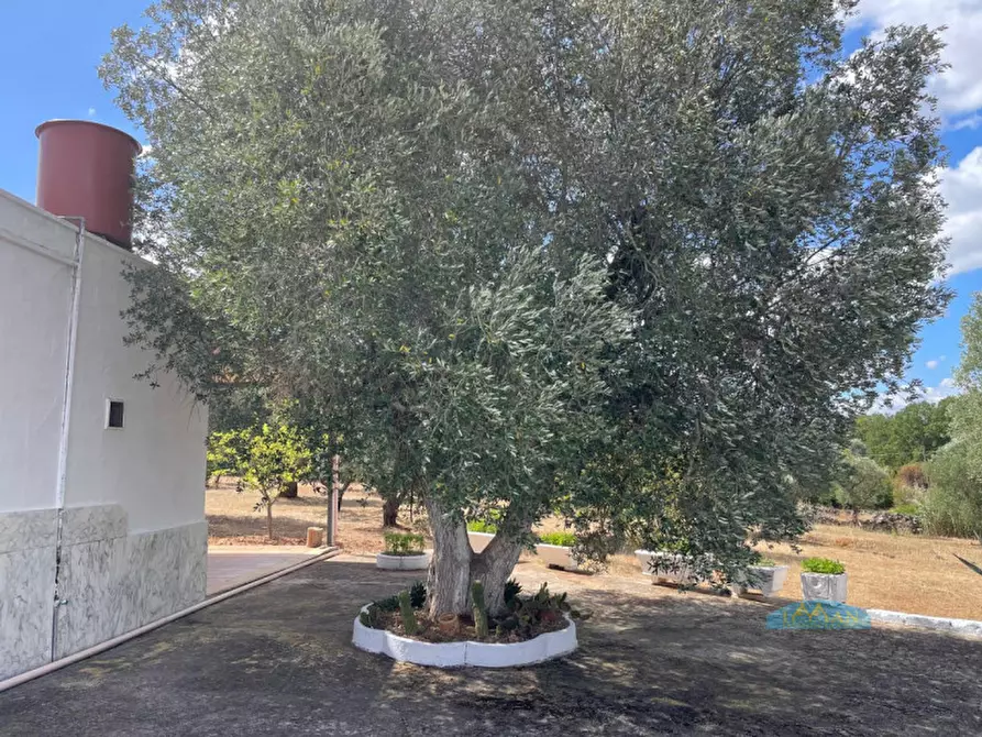 Immagine 11 di Rustico / casale in vendita  in Contrada Circiello a Ceglie Messapico