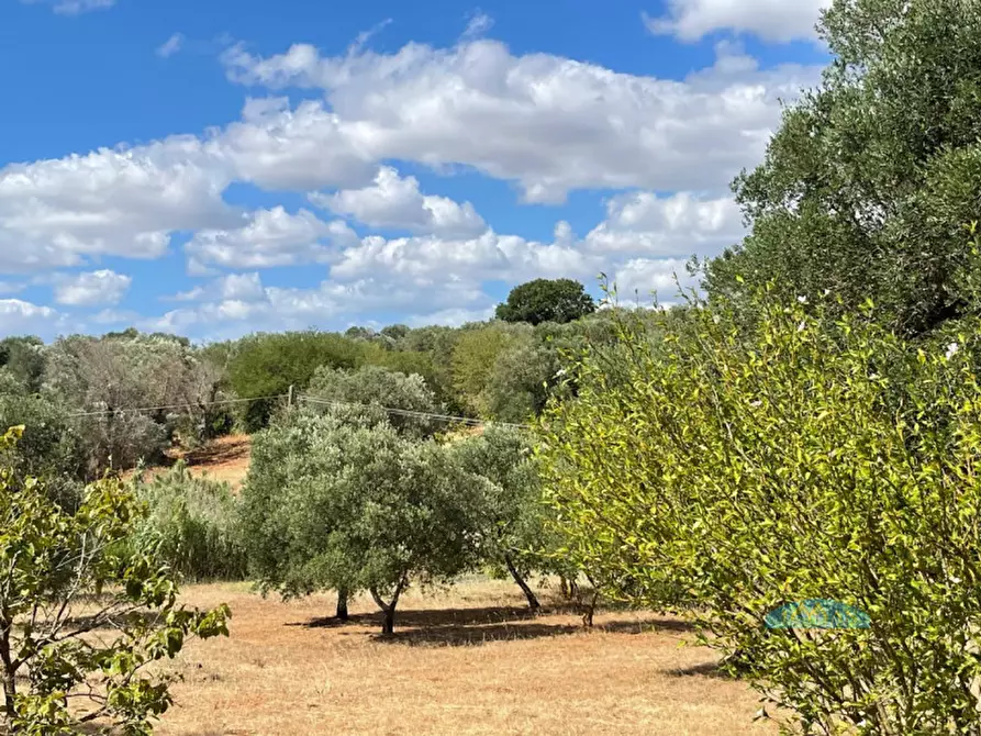 Immagine 16 di Rustico / casale in vendita  in Contrada Circiello a Ceglie Messapico