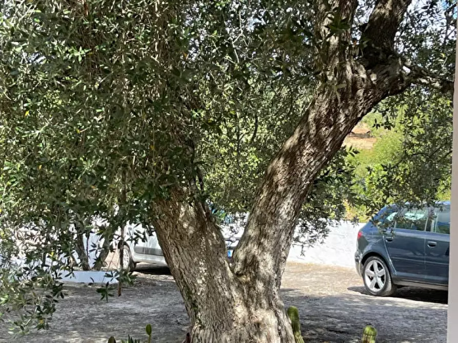 Immagine 17 di Rustico / casale in vendita  in Contrada Circiello a Ceglie Messapico
