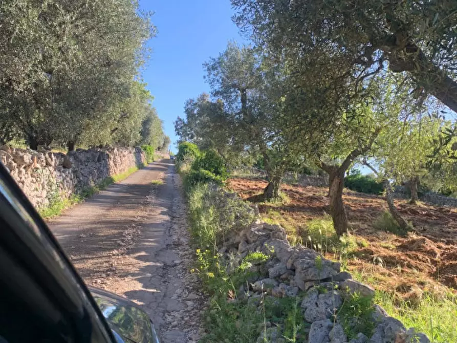 Immagine 34 di Villa in affitto  in Contrada Cavallerizza a Ostuni