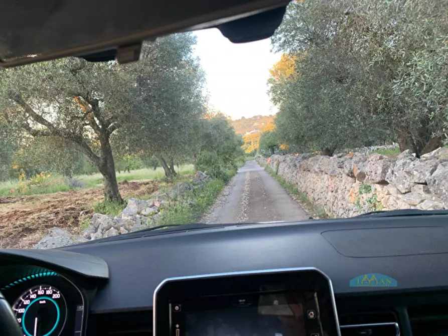 Immagine 36 di Villa in affitto  in Contrada Cavallerizza a Ostuni