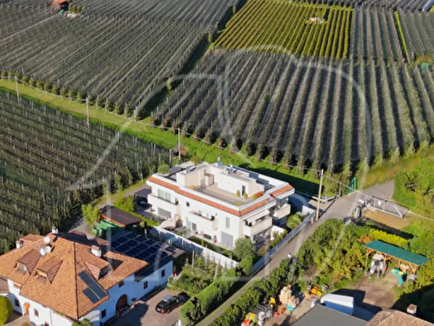 Immagine 5 di Villa in vendita  in Stradella San Maurizio - Moritzinger Feldweg a Bolzano