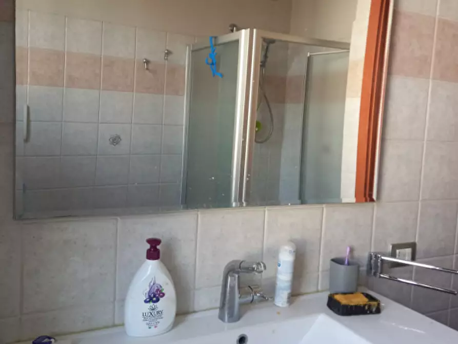 Immagine 11 di Appartamento in affitto  in Via Giovanni Boccaccio a Colorno