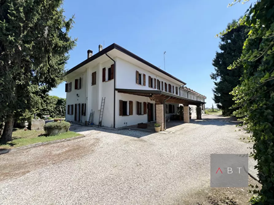 Immagine 1 di Casa indipendente in vendita  a Piazzola Sul Brenta