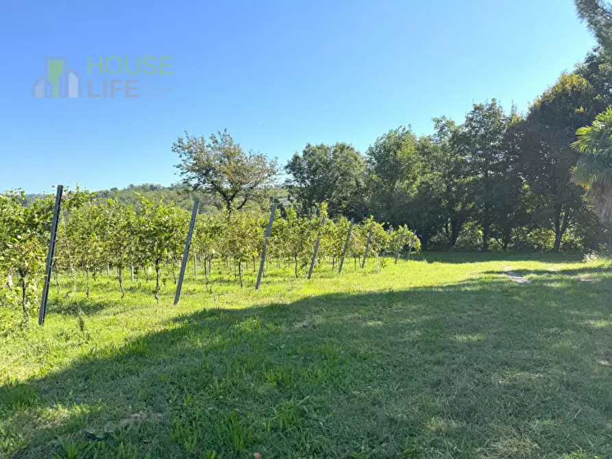 Immagine 12 di Rustico / casale in vendita  in Via Alteo fara vicentino a Fara Vicentino