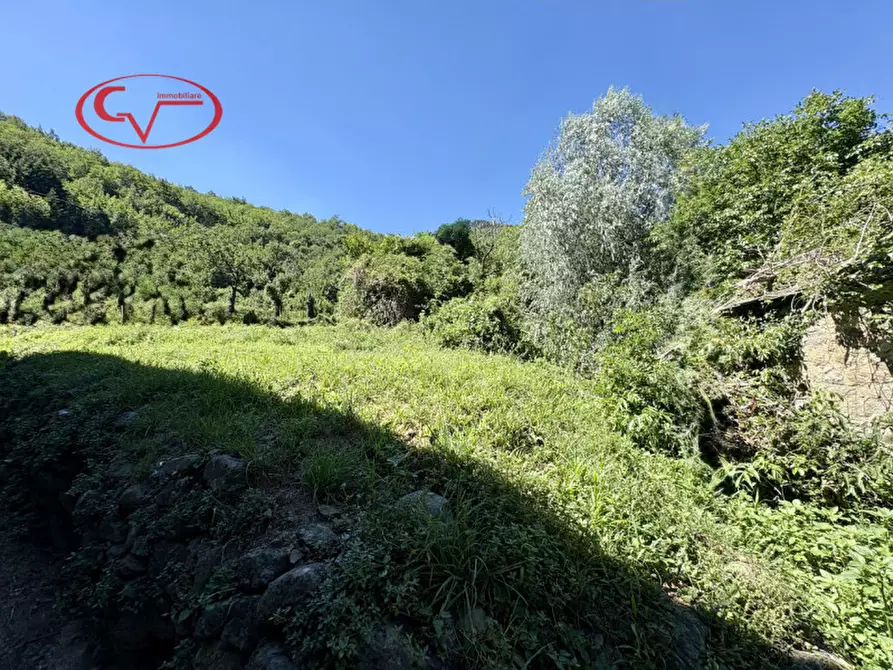 Immagine 3 di Negozio in vendita  in Località Gorgiti a Loro Ciuffenna