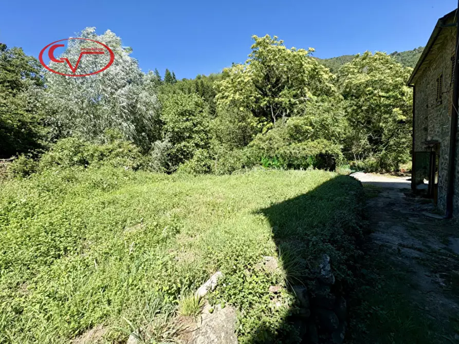 Immagine 5 di Negozio in vendita  in Località Gorgiti a Loro Ciuffenna
