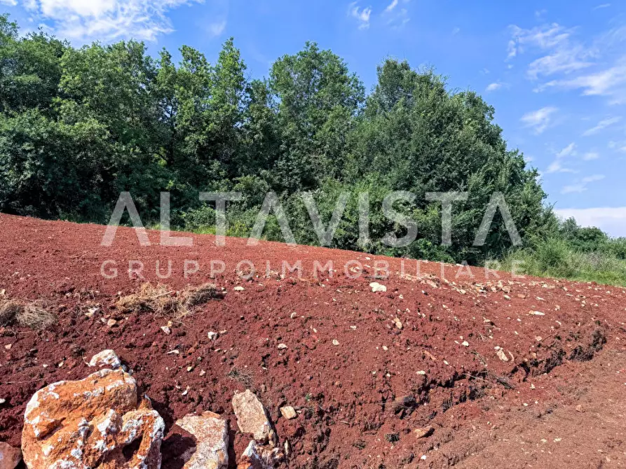 Immagine 2 di Terreno in vendita  in Via Marguzzo a Paitone