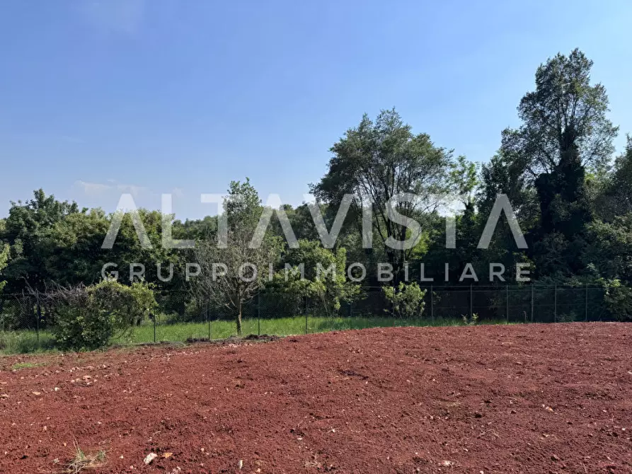 Immagine 6 di Terreno in vendita  in Via Marguzzo a Paitone