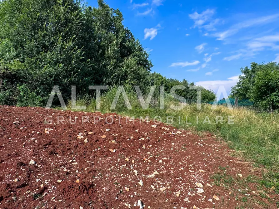 Immagine 8 di Terreno in vendita  in Via Marguzzo a Paitone