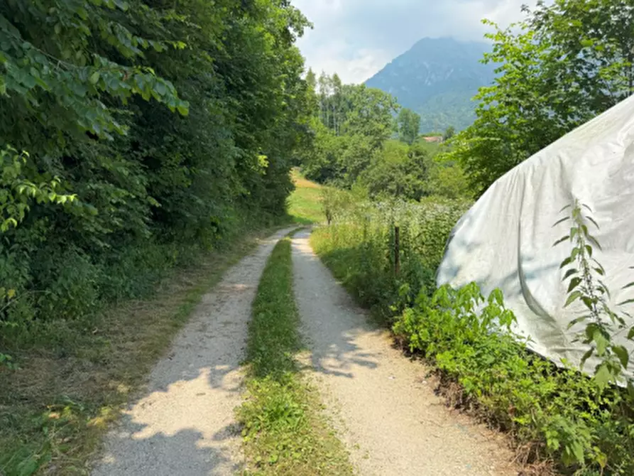 Immagine 6 di Casa indipendente in vendita  in Via Salgarda Nuova a Feltre