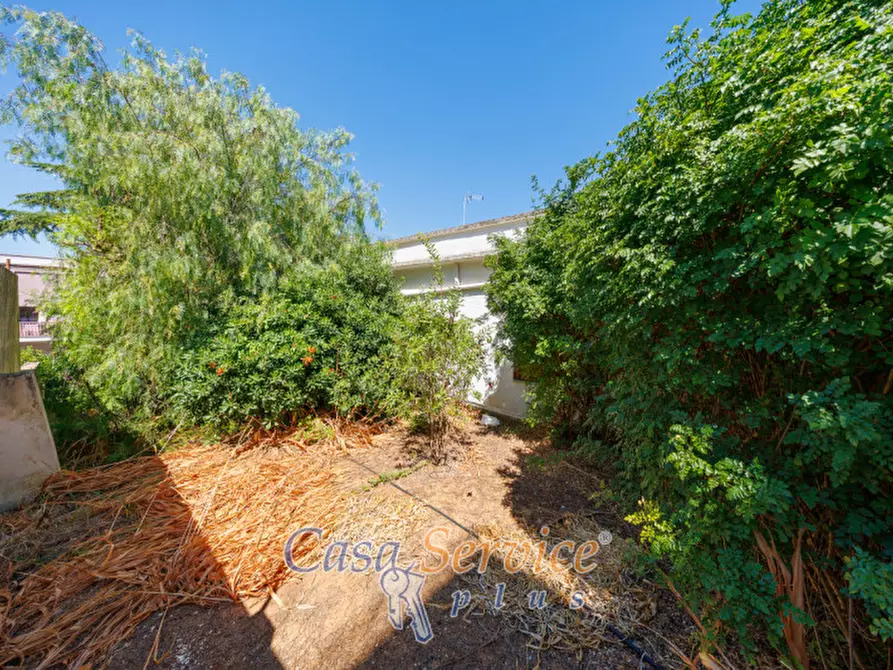 Immagine 30 di Villa in vendita  in Via Roma a Matino