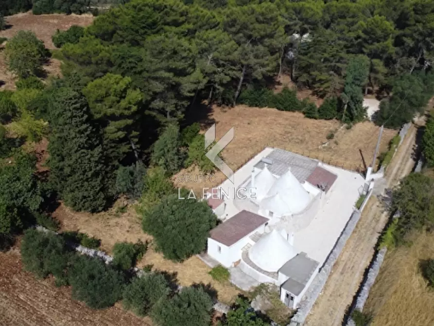 Immagine 4 di Rustico / casale in vendita  in strada peppuccio a Martina Franca