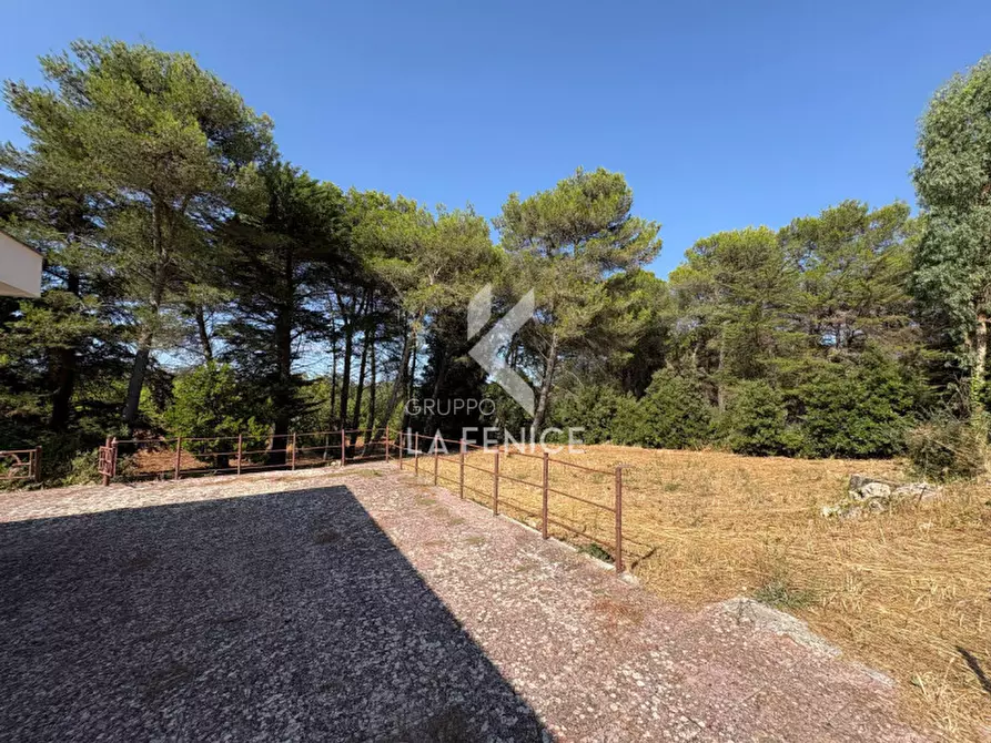 Immagine 30 di Rustico / casale in vendita  in strada peppuccio a Martina Franca