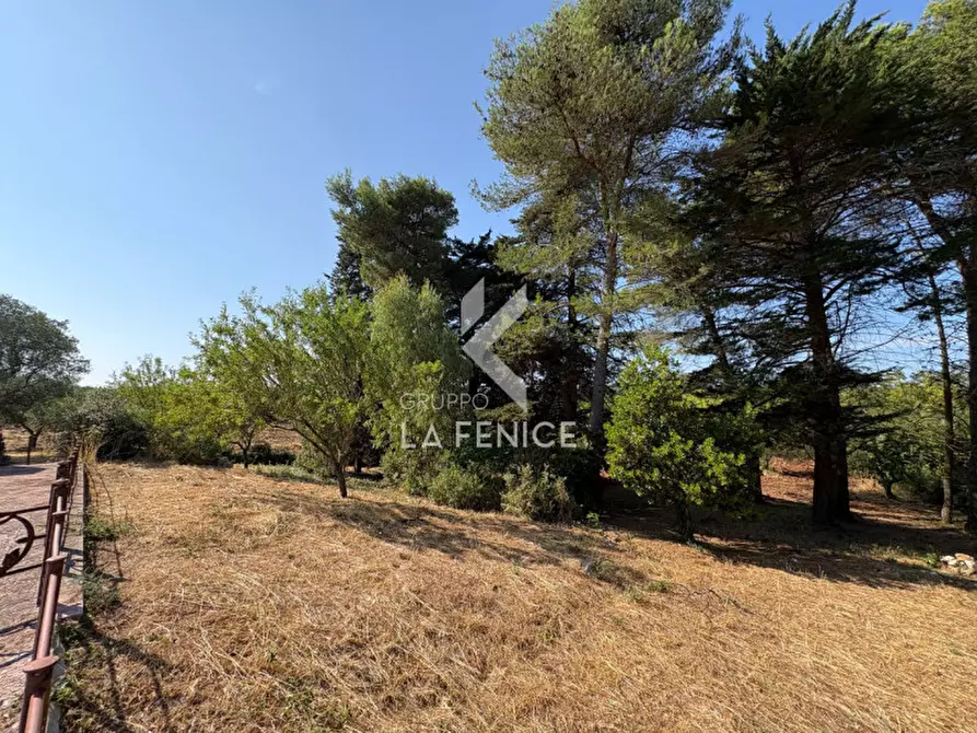Immagine 31 di Rustico / casale in vendita  in strada peppuccio a Martina Franca