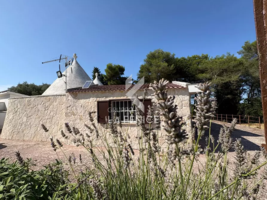 Immagine 34 di Rustico / casale in vendita  in strada peppuccio a Martina Franca