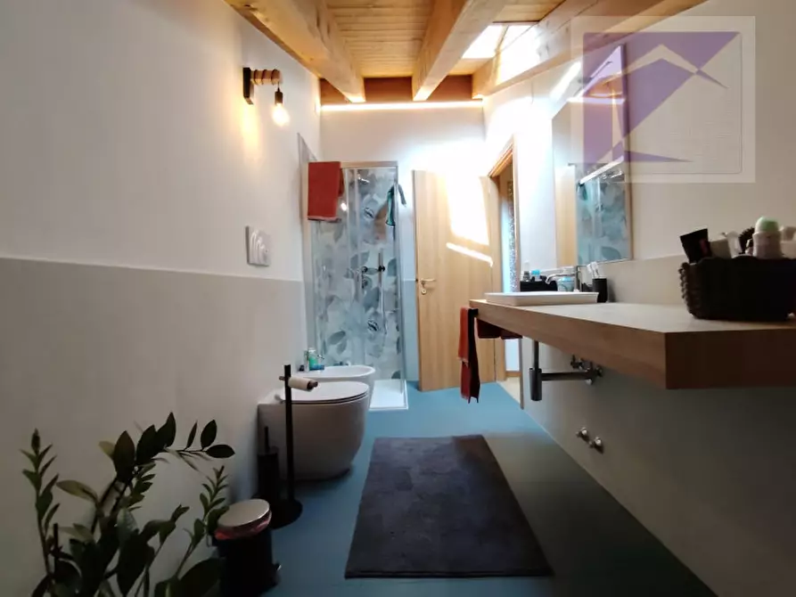 Immagine 22 di Appartamento in vendita  a Massanzago