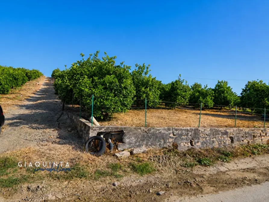 Immagine 1 di Terreno in vendita  a Palagonia
