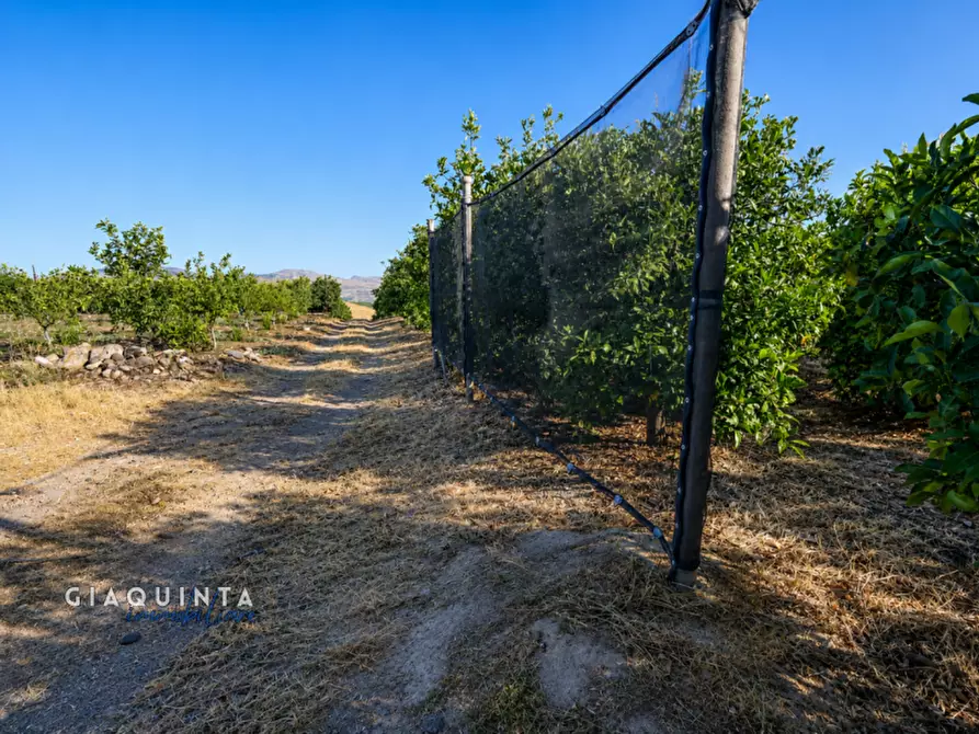 Immagine 3 di Terreno in vendita  a Palagonia