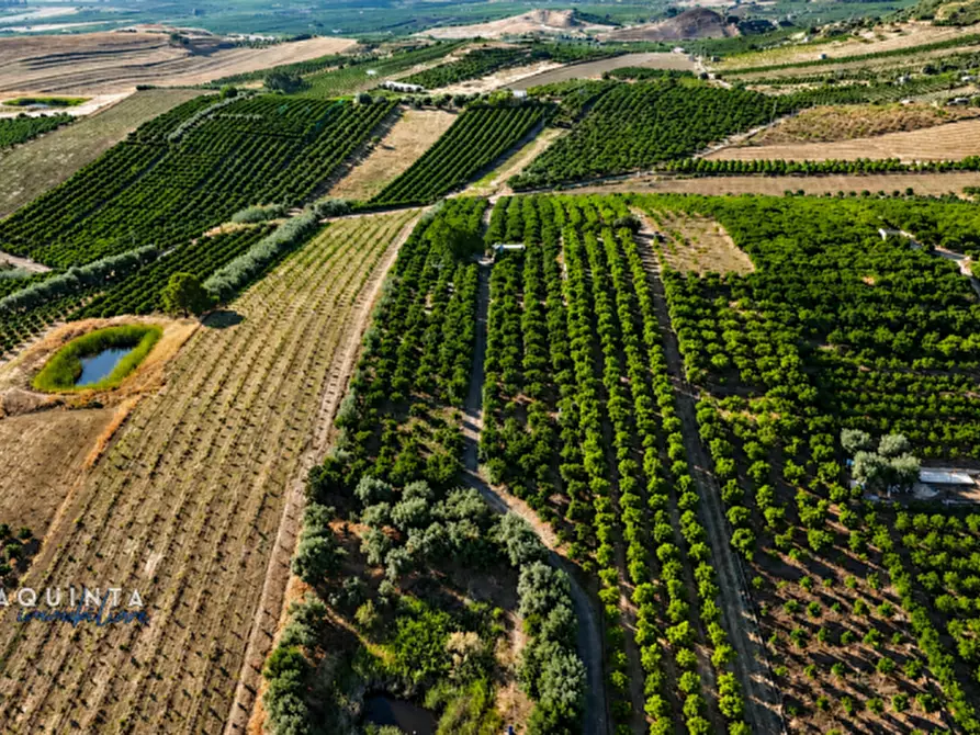 Immagine 7 di Terreno in vendita  a Palagonia