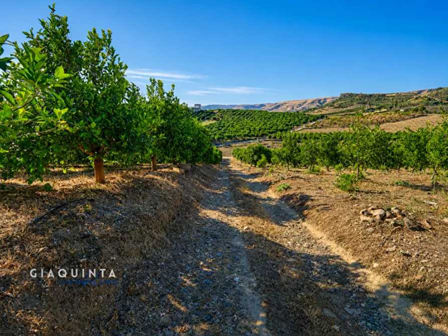 Immagine 8 di Terreno in vendita  a Palagonia