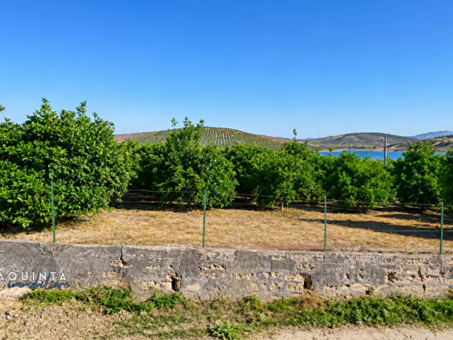 Immagine 14 di Terreno in vendita  a Palagonia