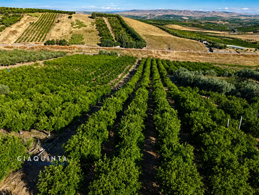 Immagine 15 di Terreno in vendita  a Palagonia