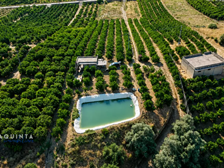 Immagine 1 di Terreno in vendita  in c.da Sparagogna snc a Palagonia