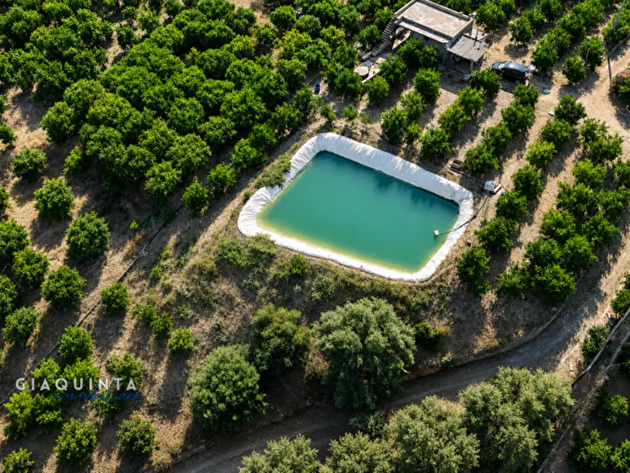 Immagine 10 di Terreno in vendita  in c.da Sparagogna snc a Palagonia