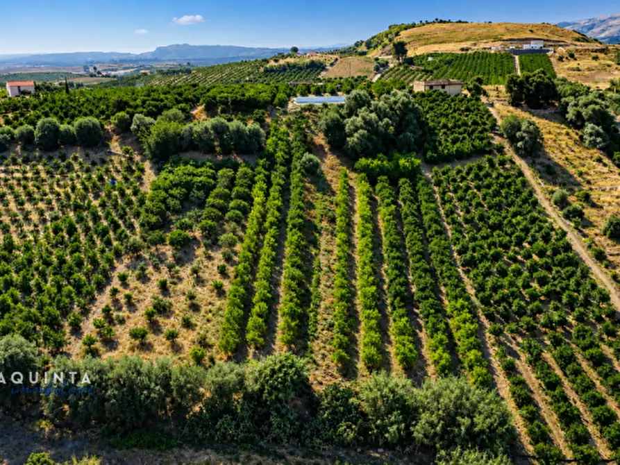 Immagine 11 di Terreno in vendita  in c.da Sparagogna snc a Palagonia