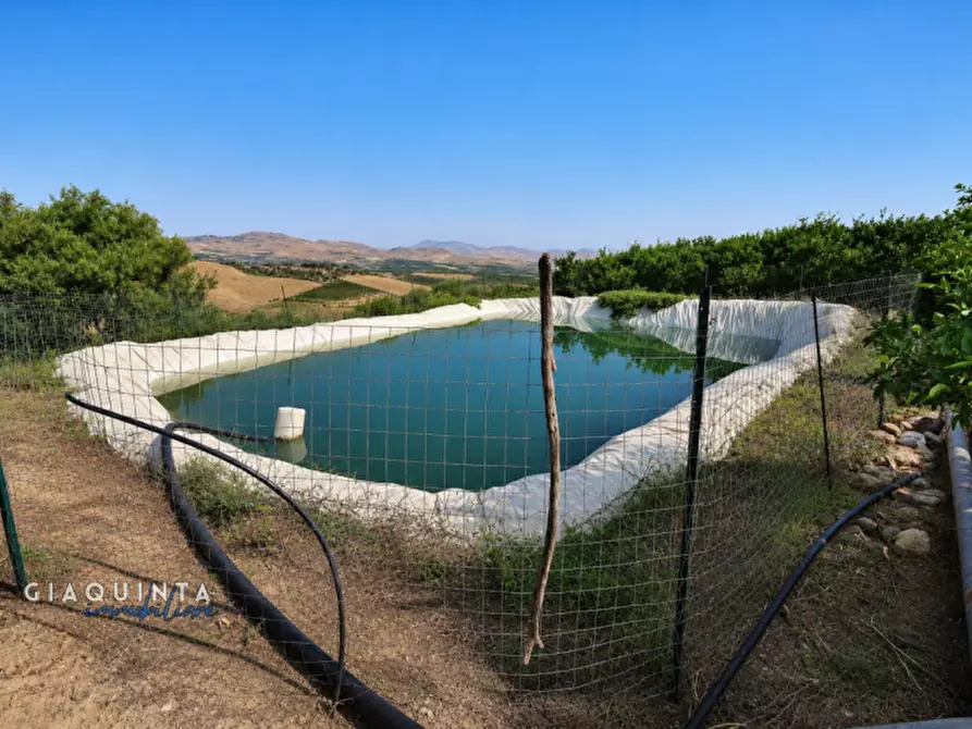 Immagine 16 di Terreno in vendita  in c.da Sparagogna snc a Palagonia
