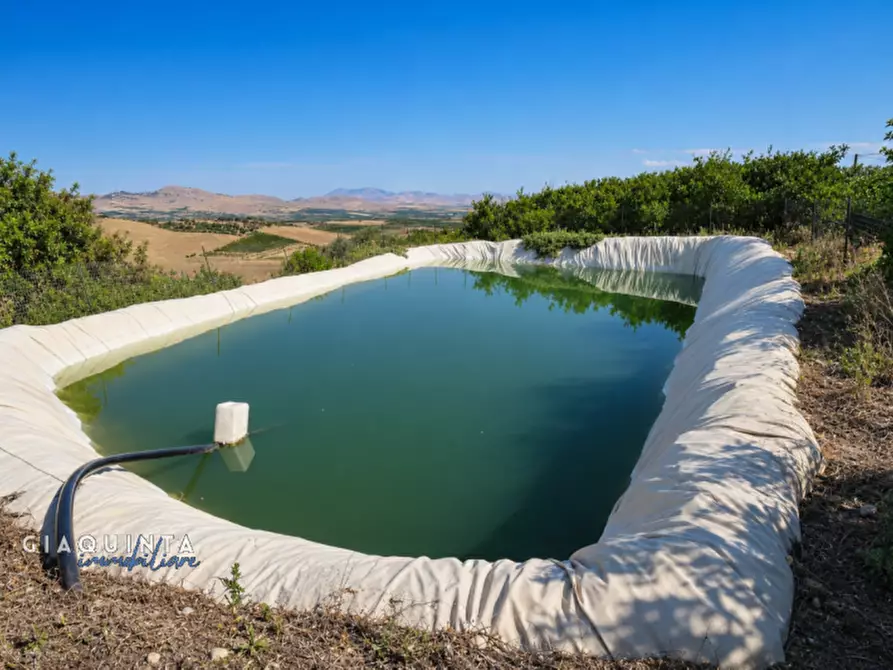 Immagine 20 di Terreno in vendita  in c.da Sparagogna snc a Palagonia