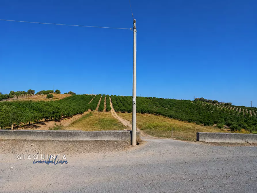 Immagine 23 di Terreno in vendita  in c.da Sparagogna snc a Palagonia
