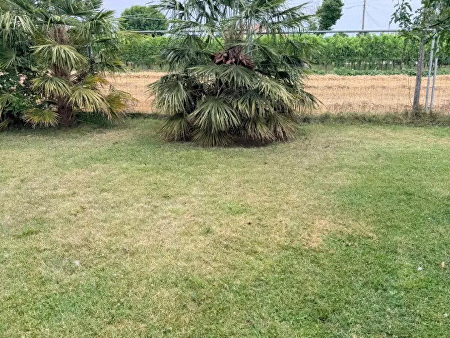 Immagine 13 di Casa indipendente in vendita  in Via Giovanni Battista a Giavera Del Montello