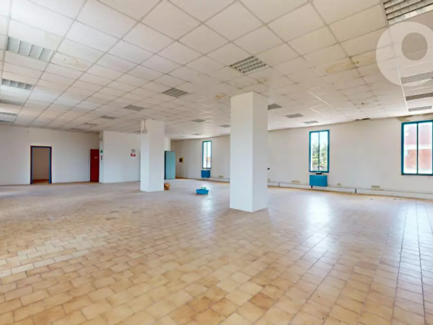 Immagine 12 di Multiproprietà in vendita  in via degli ippocastani 5 a Torri Di Quartesolo
