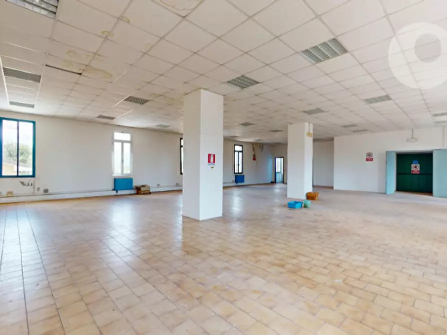 Immagine 13 di Multiproprietà in vendita  in via degli ippocastani 5 a Torri Di Quartesolo